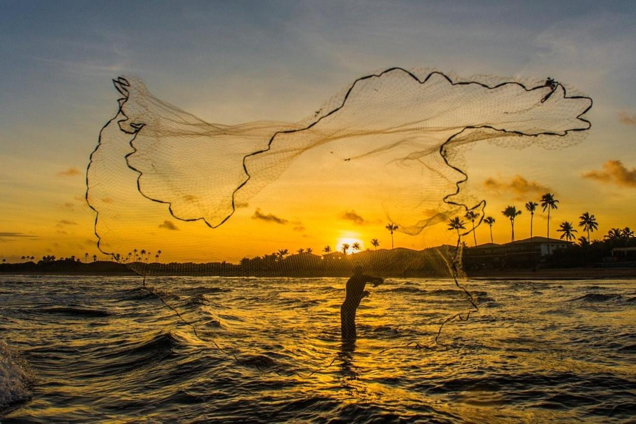 Village Praia Do Surf, Itacimirim - Camacari, Ba エクステリア 写真